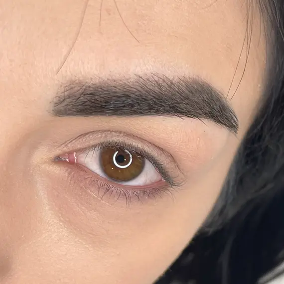 Powderbrows